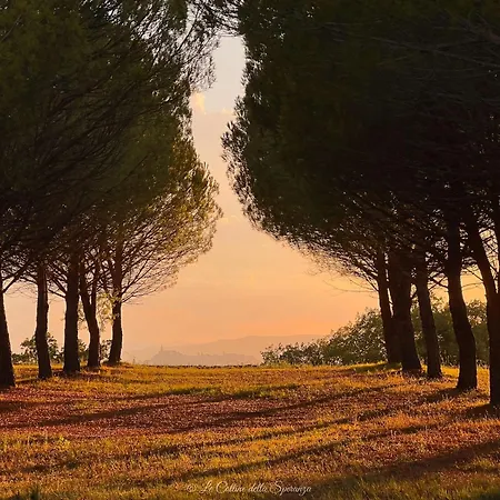 Сasa de vacaciones Il Giardino Dell'abate Di Collepino - Spello
