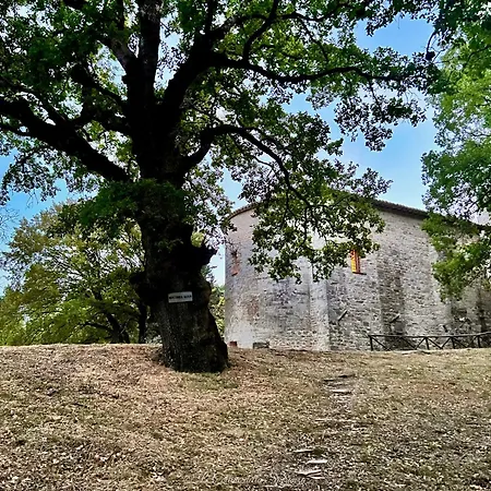 Сasa de vacaciones Il Giardino Dell'abate Di Collepino -