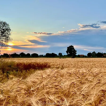 Il Giardino Dell'abate Di Collepino - Сasa de vacaciones Spello
