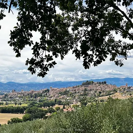 Il Giardino Dell'abate Di Collepino - *