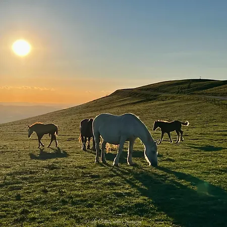 Il Giardino Dell'abate Di - Spello * Collepino