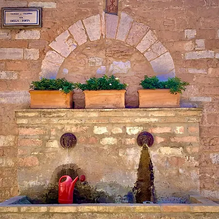 Il Giardino Dell'abate Di - Spello Feriehus *