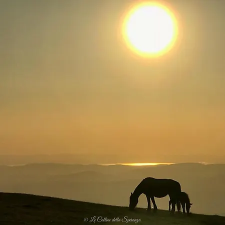 Il Giardino Dell'abate Di - Spello *